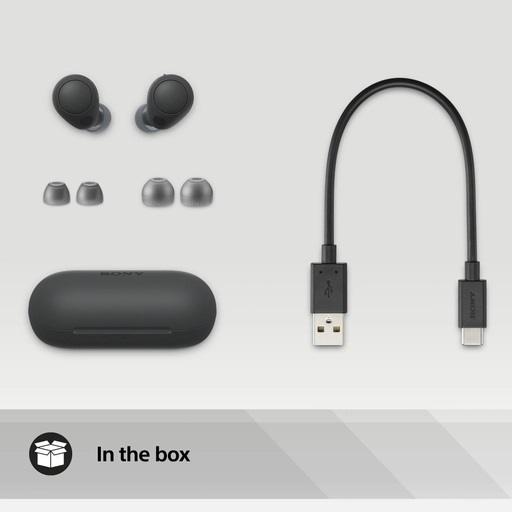 Sony B earphones in the box